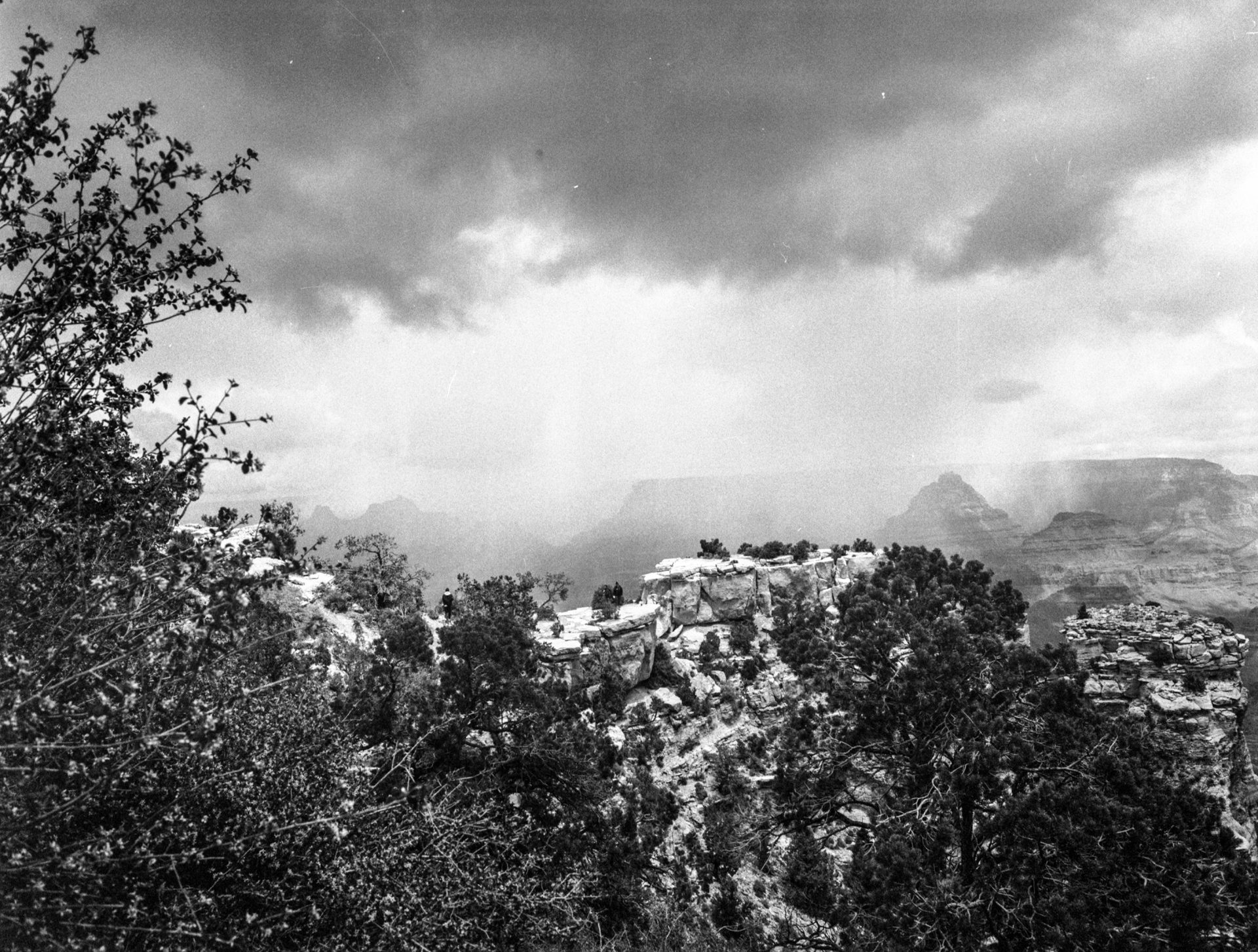 ¿QUE ES UN PAISAJE?